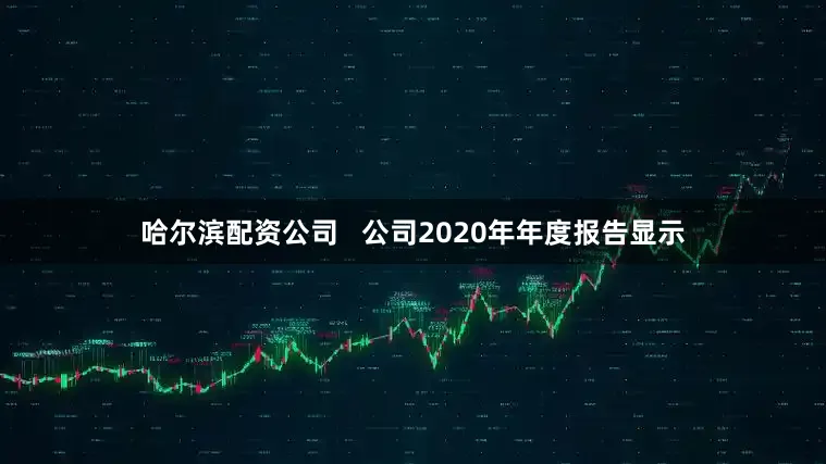 哈尔滨配资公司   公司2020年年度报告显示